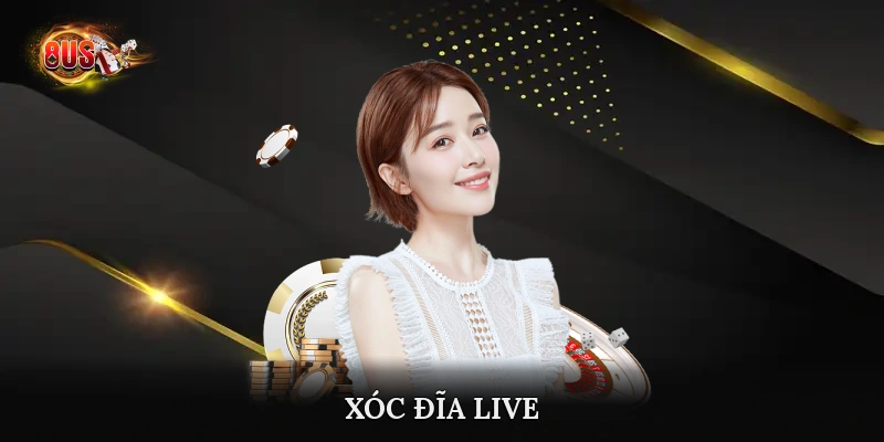 Xóc Đĩa live